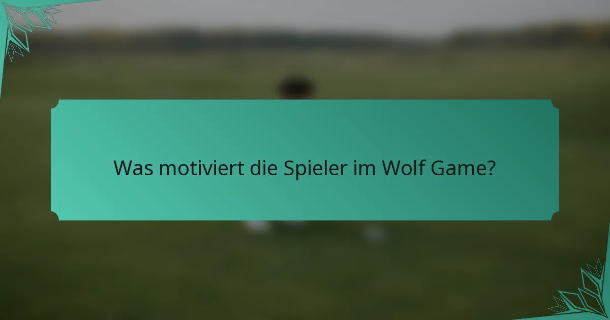 Was motiviert die Spieler im Wolf Game?